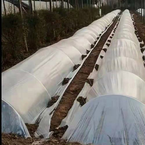 玻璃纖維復合材料-050